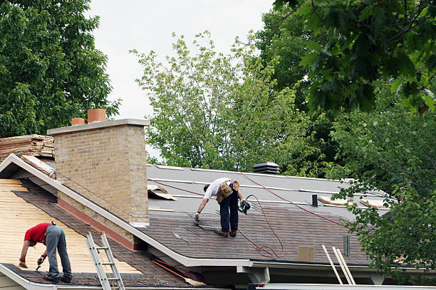 Best Roof Gutter Cleaning  in Lyncourt, NY